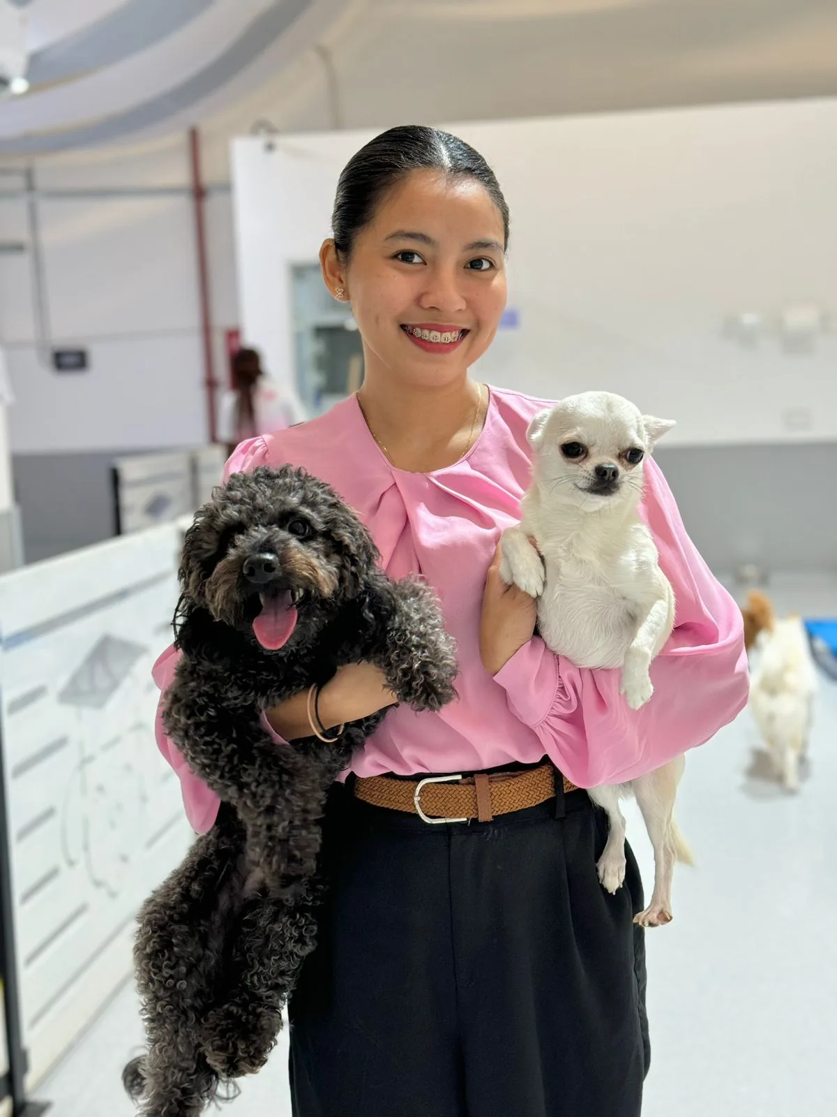 Olivier Zoppi Jebel Ali headquarters, a dog training and boarding facility in Dubai